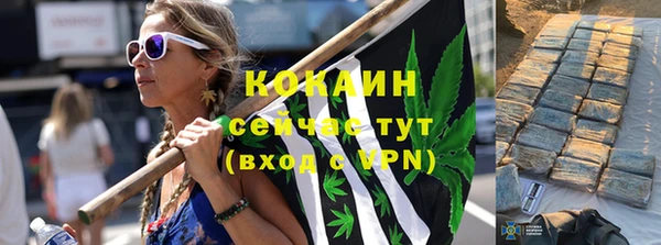 ПСИЛОЦИБИНОВЫЕ ГРИБЫ Абаза