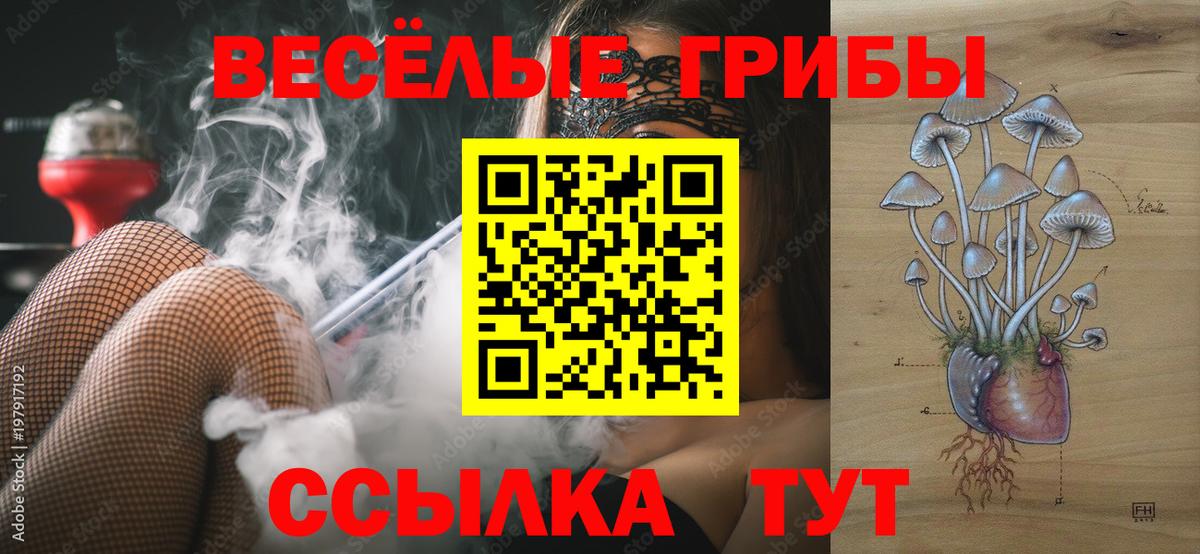 Галлюциногенные грибы GOLDEN TEACHER  Красноармейск 